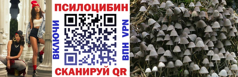 Псилоцибиновые грибы GOLDEN TEACHER  Кинешма 